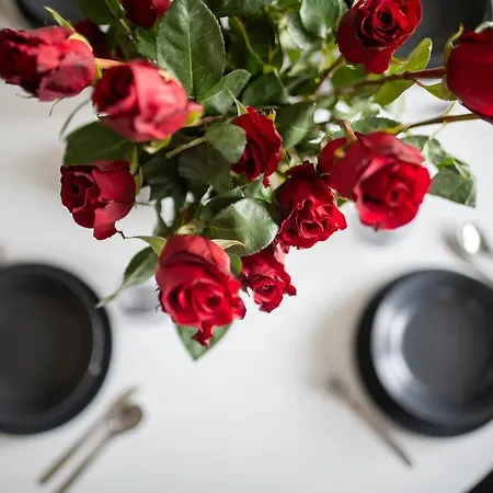 Easy Rent- Rayskiego 24h Check-in Lublin